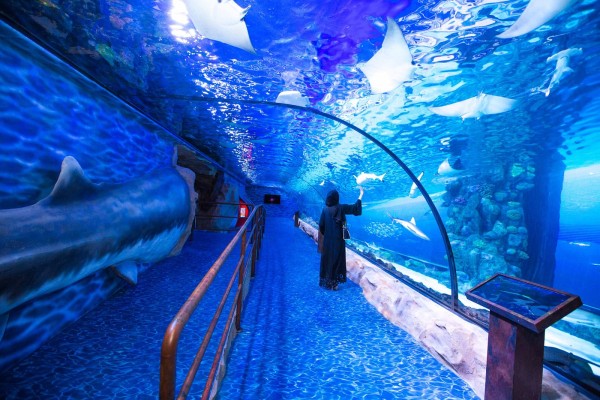Explore The Emirates